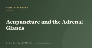 Acupuncture and the Adrenal Glands