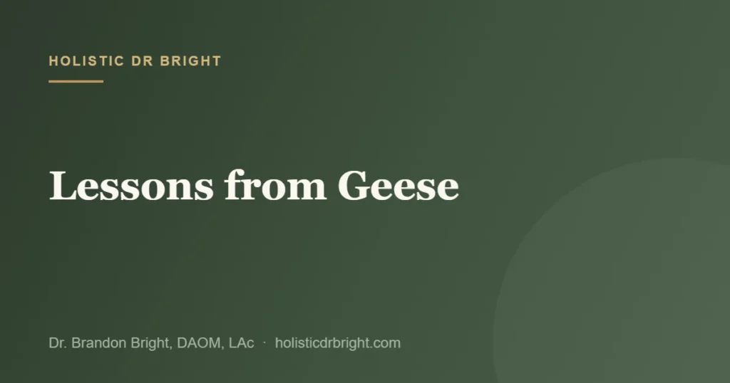 Lessons from Geese