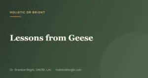 Lessons from Geese