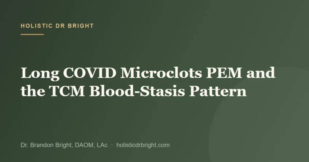Long COVID Microclots PEM and the TCM Blood-Stasis Pattern