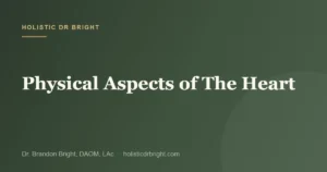 Physical Aspects of The Heart
